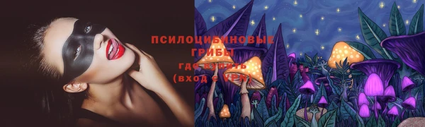 тгк Алексеевка