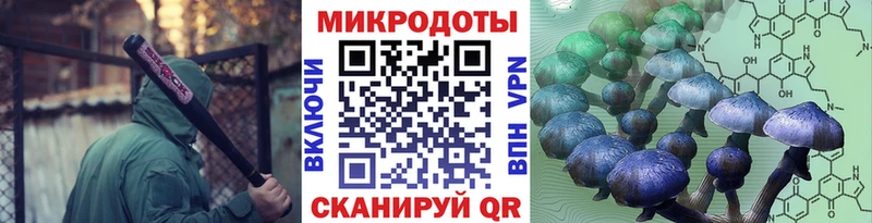 закладки  Алушта  Псилоцибиновые грибы мухоморы 