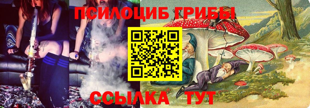 Псилоцибиновые грибы Psilocybe Алушта
