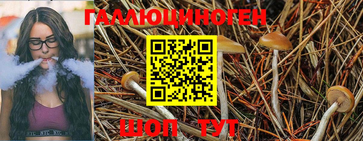Псилоцибиновые грибы мухоморы  Вход с VPN  Алушта 